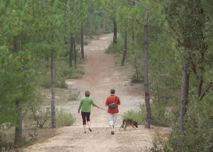 Appartement Grand Balcon Face Wifi Gratuit By Interhome *