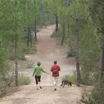 Apartment Grand Balcon Face Wifi Gratuit By Interhome *