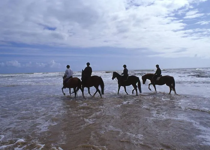 Grand Balcon Face Wifi Gratuit By Interhome *