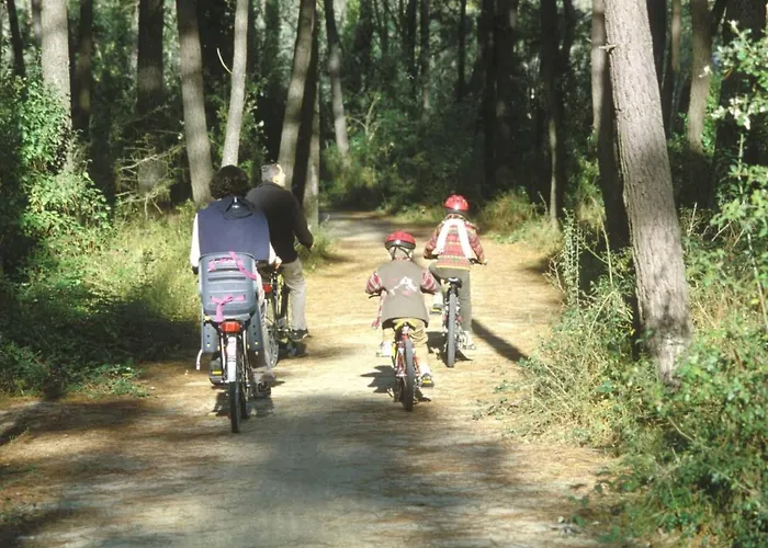 דירה Grand Balcon Face Wifi Gratuit By Interhome *